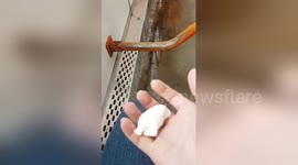 Newsflare Edit - That's how cold was inside the Tram in Bucharest