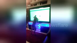 Newsflare Edit - My dog trying to get the snooker balls