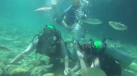 Woman nearly drowns when her partner proposes to her whilst scuba diving.