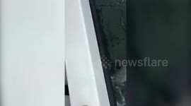 This is the moment a team of amateur British anglers reeled in a 450lb shark