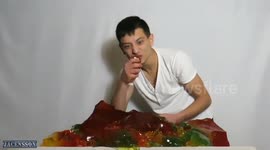 The World's Largest Jelly !!!
