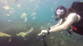 Dramatic images of sealife swimming amongst plastic in Bali waters