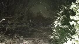 Black cat enjoys snow at night