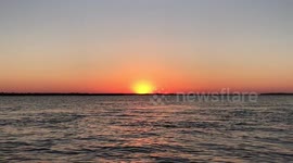 DOLPHINS AND SUNSET in New Smyrna beach