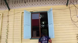 Two kittens trapped inside roof are rescued