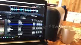 My dog loves a bit of DMX