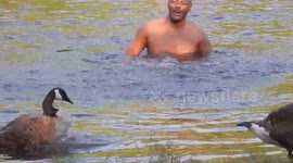 Canada Geese won't let swimmers out of the lake
