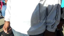 Monkey Action on the Street 1