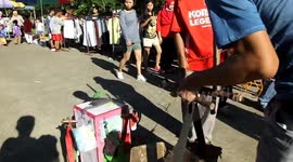 Monkey Action on the Street 5