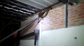Snake catchers struggle to pull python off of roof