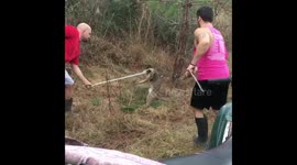 BOBCAT capture!