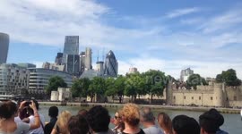 River Thames Cruise