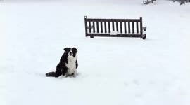 Beast from the East brings heavy snowfall to Ballater, Royal Deeside, Scotland
