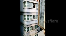 Hilarious husky pops head out of window to reply to a man’s howl