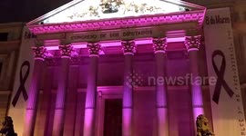 Spanish parliament turns purple in the international women day