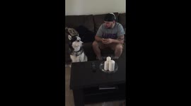 Kota sings piano man! Siberian Husky