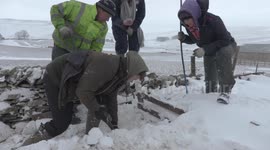 Farmer saves sheep covered in snowdrift from a certain death