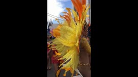 Cherry Blossom Festival Dancing In The Street