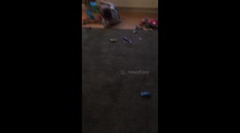 Dad and Lad - Dad Scares Lad 3 Funny Prank