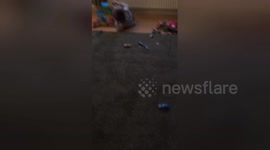 Newsflare Edit - Dad and Lad - Dad Scares Lad 3 Funny Prank