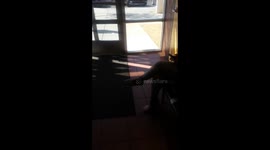 GRAPHIC FOOTAGE OF A FEDERAL EMPLOYEE ABUSING A DISABLED SENIOR CITIZEN(maybe a vet)in a FEDERAL BUILDING