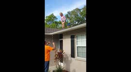 Fearless Girl Jumps Into Her Daddy's Arms