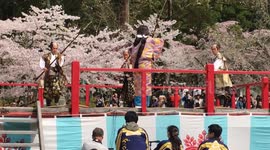 Cherry blossom Festival at Daigoji Kyoto