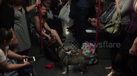 London Underground passengers evacuated after electrical fault