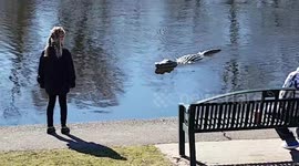 Terryfying moment Alligator almost attacks young girl!