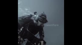Scuba selfie