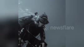 Newsflare Edit - Scuba selfie