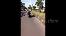 Monkey on A motorcycle Drove Toned
