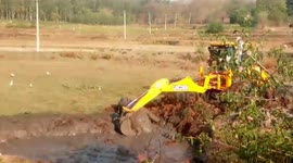 Dramatic moment excavator rescues exhausted baby elephant from swamp