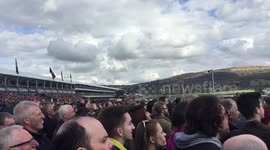Listen to the Cheltenham Roar!