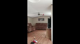 Ceiling Fan Golf Shot