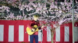 Man singing in the cherry blossom festival at the park