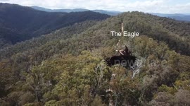 EAGLE v DRONE(DJI Mavic Pro Crash)