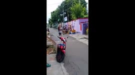 monkey racing motor accident