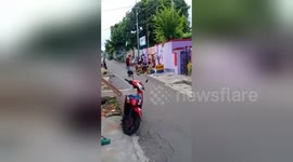 Newsflare Edit - monkey racing motor accident