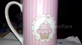 The Cupcake Diaries