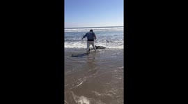 Dolphin rescued by photographer