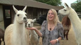 TWS EP19 LAMAS