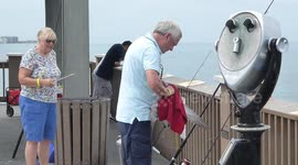 Seagull Rescued From Fishing Line at the Clearwater Beach Fishing Pier (USA)