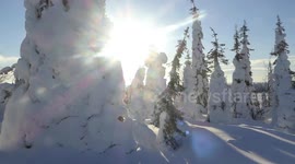 Snowscooter Safari Across Wonderful Winterwonderland - Lapland Finland