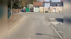 Ducks need to cross the road too