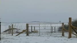 Snow in Poundbury