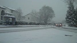 Mini Beast From the East Hits Paignton