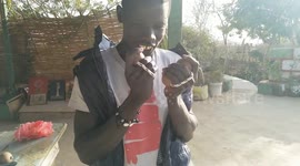 Street musician playing African percussion instrument will mesmerise you