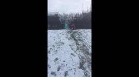 Snowy Sledging with Faceplant