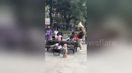 Watch this adorable toddler jam with a New Orleans brass band